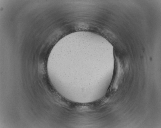 X0000077400224200611101828