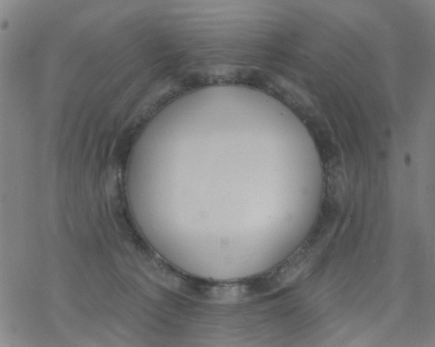 X0000077400225200611101828