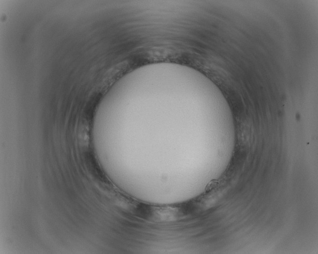 X0000077400226200611101828