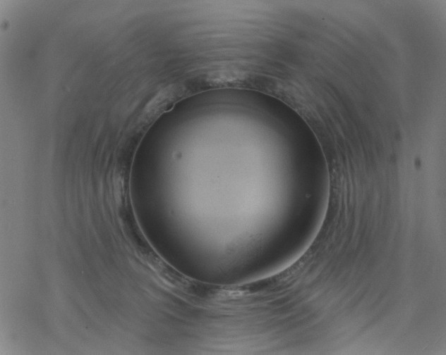 X0000077400227200611101828