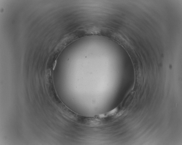 X0000077400229200611101828