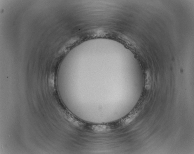 X0000077400230200611101828