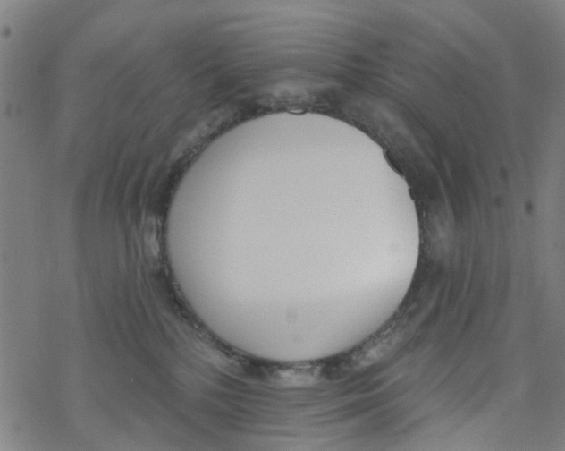 X0000077400232200611101828