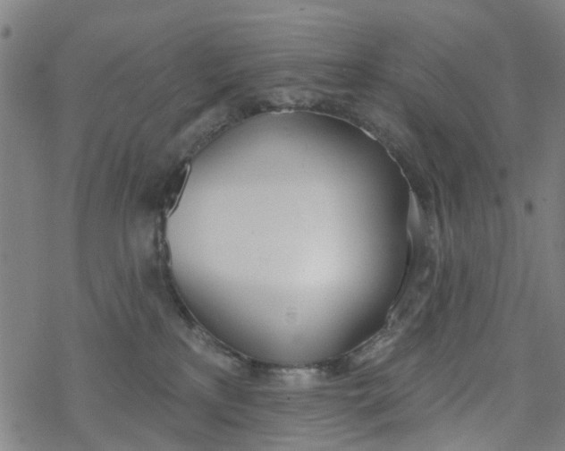 X0000077400233200611101828