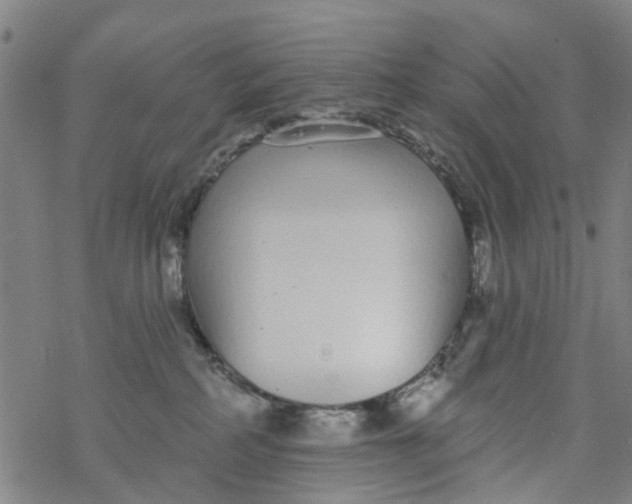 X0000077400234200611101828