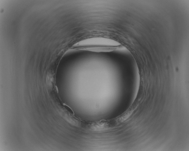 X0000077400235200611101828