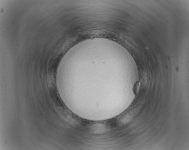 X0000077400236200611101828