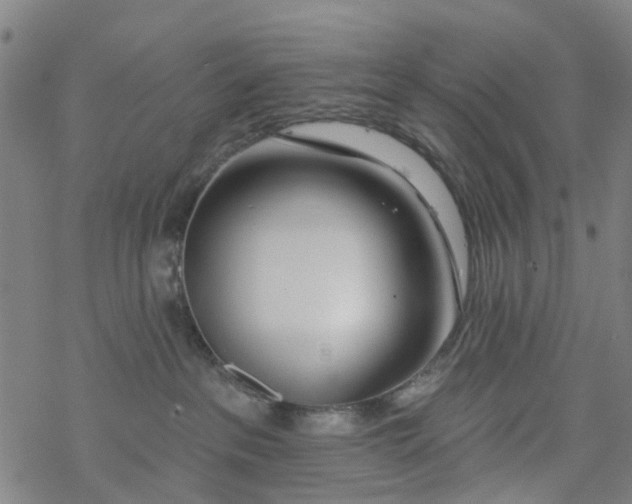 X0000077400237200611101828