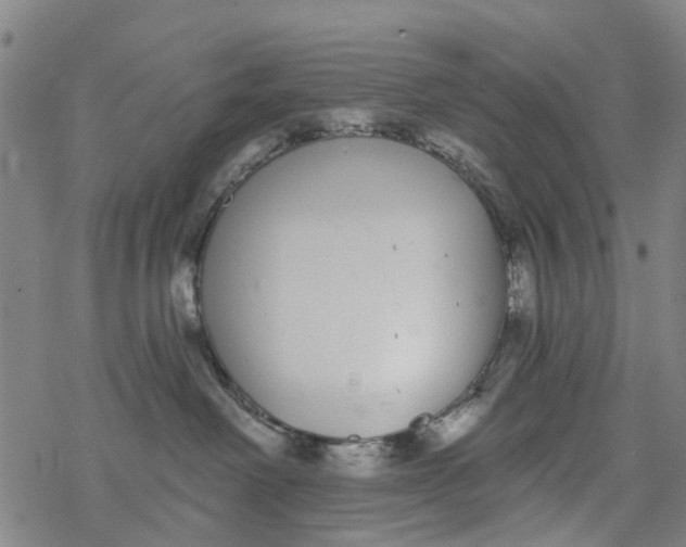 X0000077400238200611101828