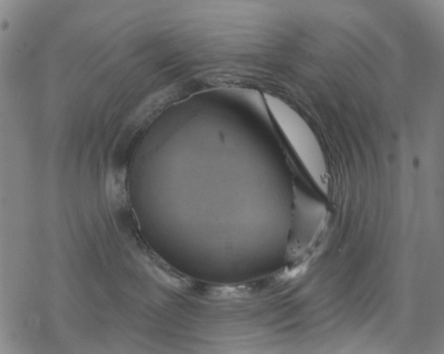 X0000077400239200611101828