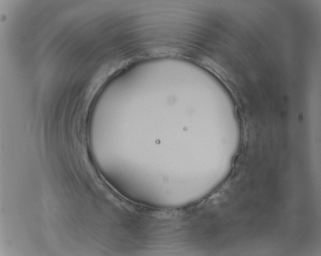 X0000077400241200611101827