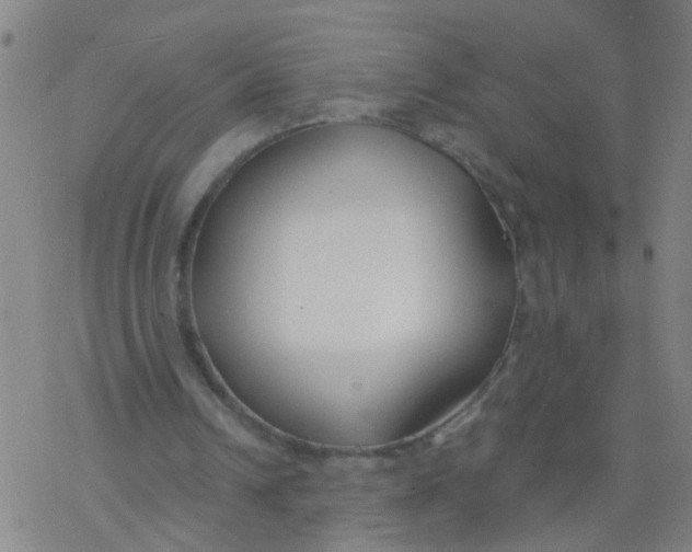 X0000077400242200611101827