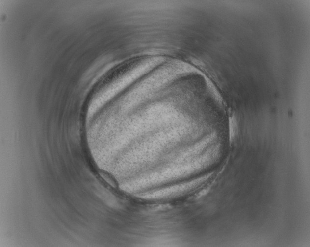 X0000077400243200611101827