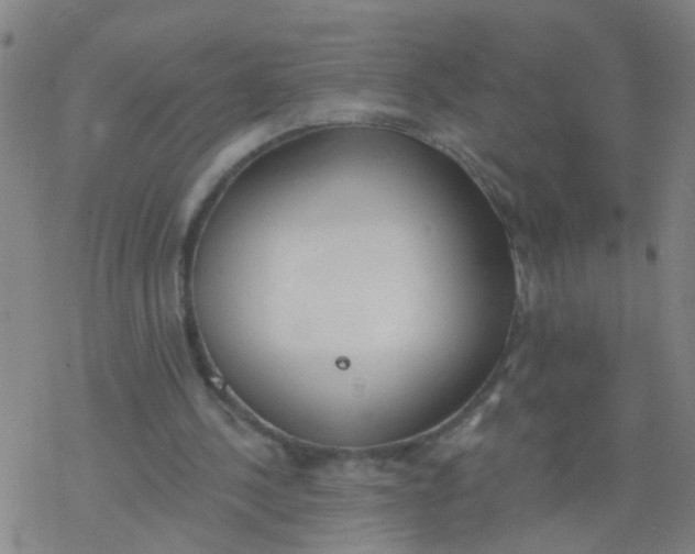 X0000077400244200611101827