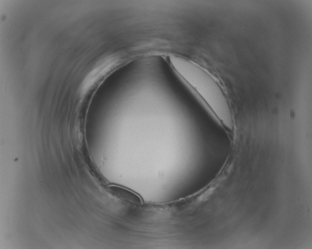 X0000077400245200611101827