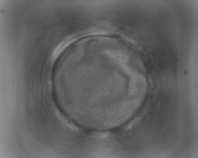 X0000077400247200611101827