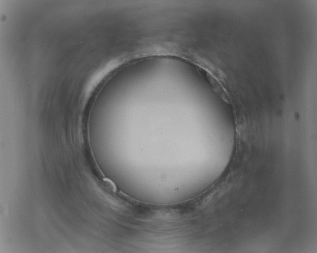 X0000077400248200611101827