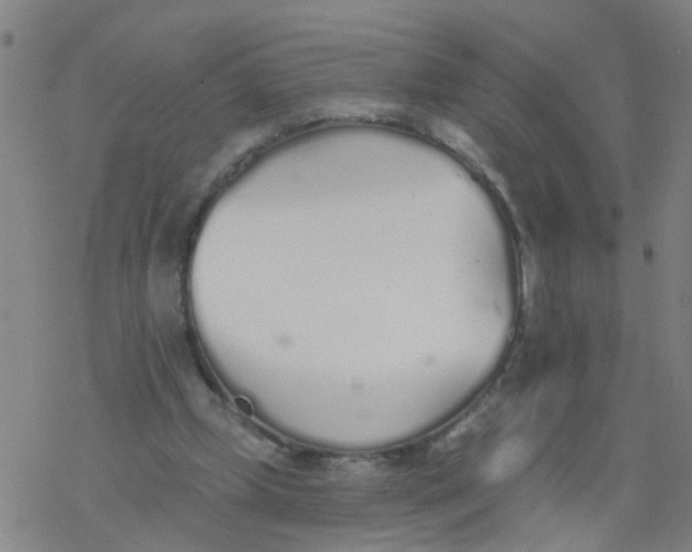 X0000077400249200611101827