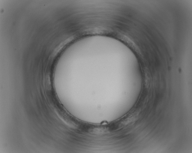 X0000077400251200611101827