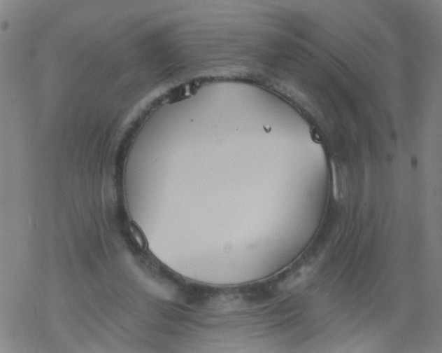 X0000077400252200611101827