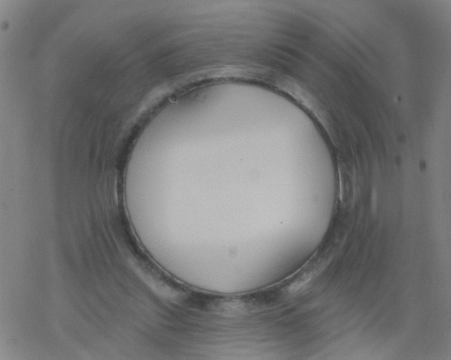 X0000077400253200611101827