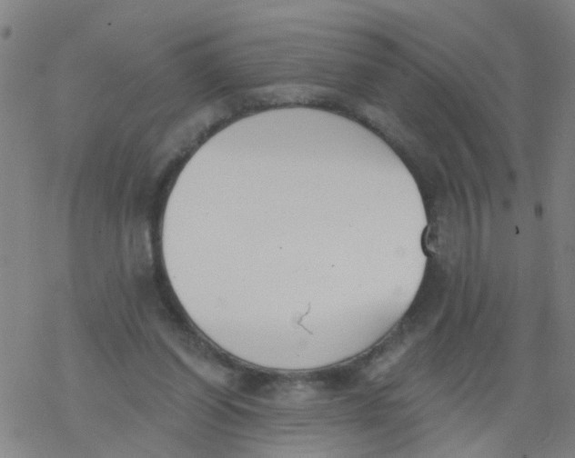 X0000077400254200611101827