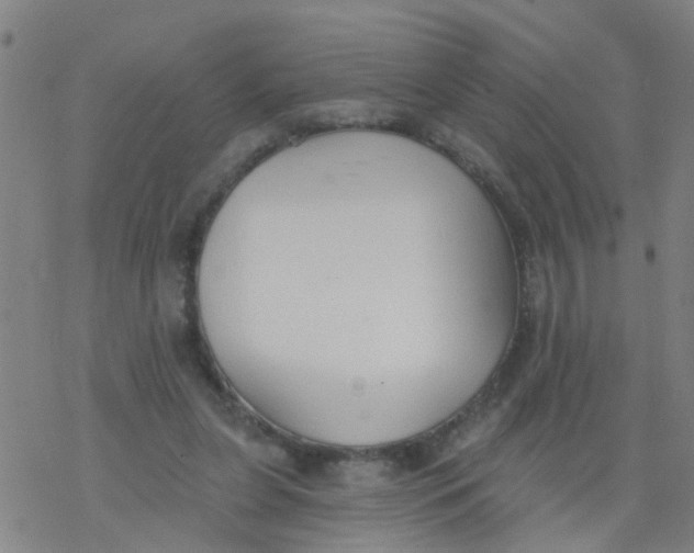 X0000077400255200611101827