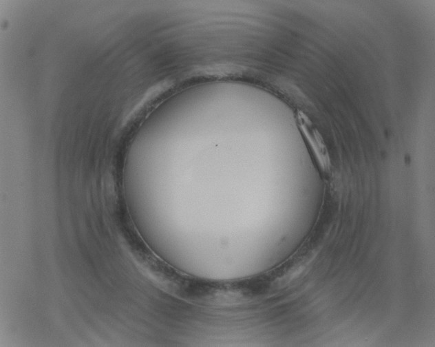 X0000077400256200611101827