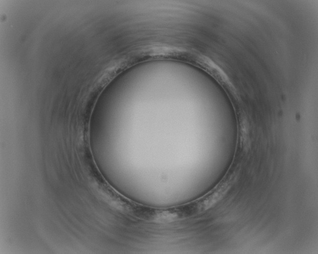 X0000077400257200611101827