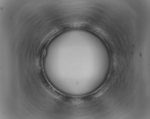 X0000077400258200611101827