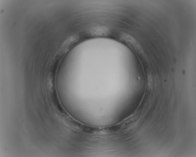 X0000077400259200611101827