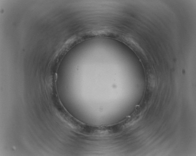 X0000077400260200611101827