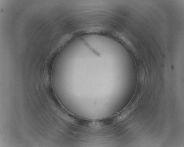 X0000077400261200611101827