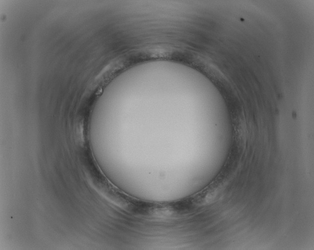 X0000077400262200611101827