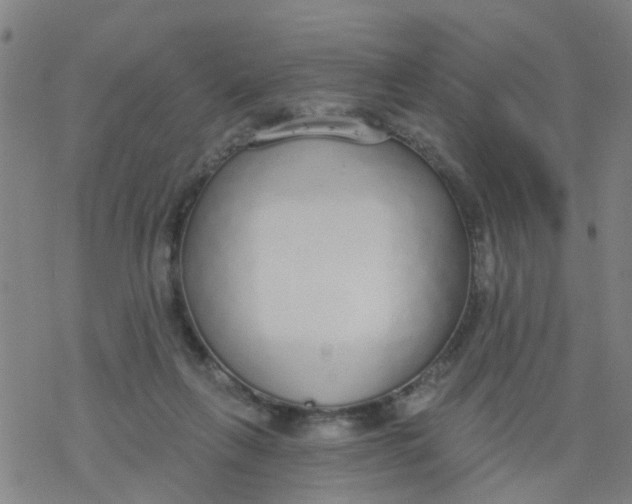 X0000077400263200611101827