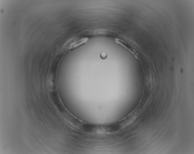 X0000077400264200611101827