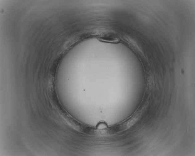 X0000077400265200611101827