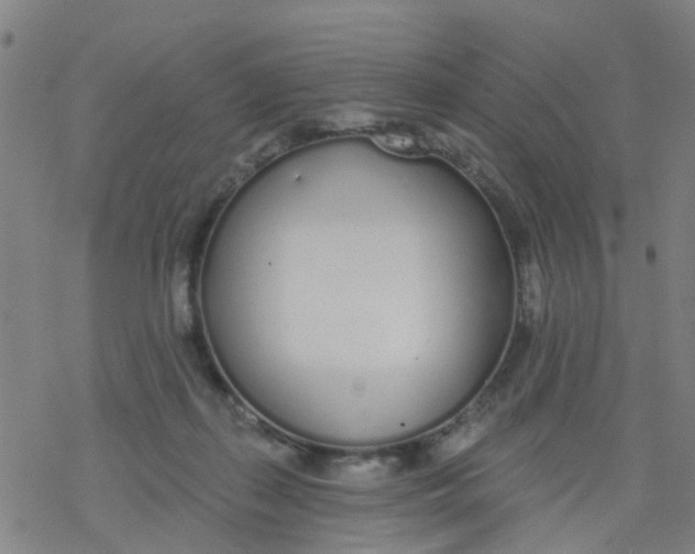 X0000077400267200611101827