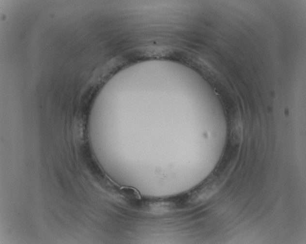 X0000077400268200611101827