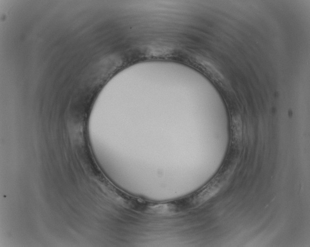 X0000077400269200611101827