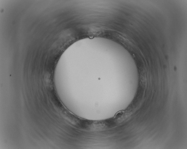 X0000077400270200611101827