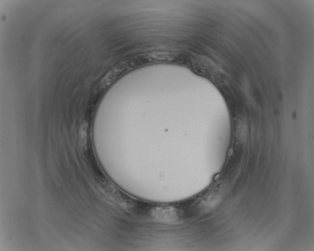 X0000077400271200611101827