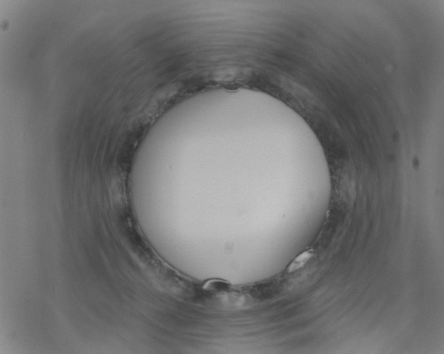 X0000077400272200611101827