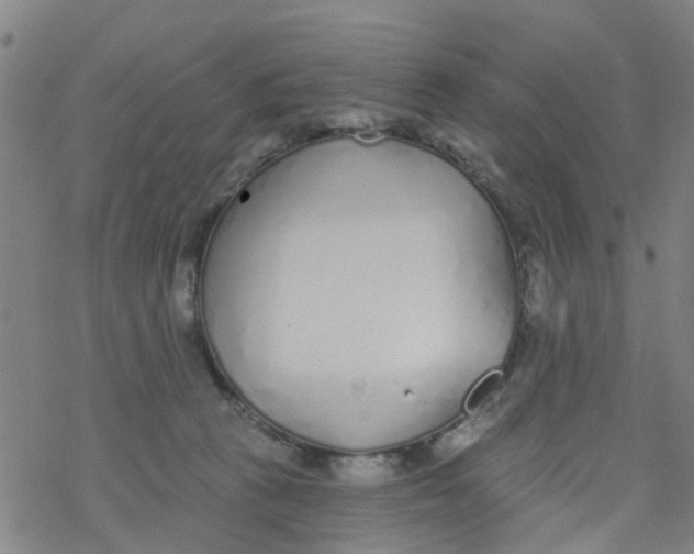 X0000077400273200611101827