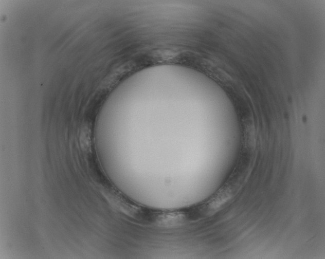 X0000077400274200611101827