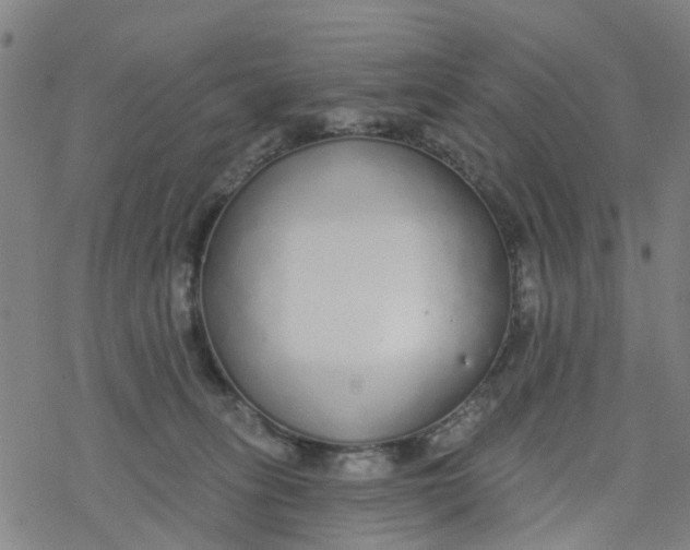 X0000077400275200611101827