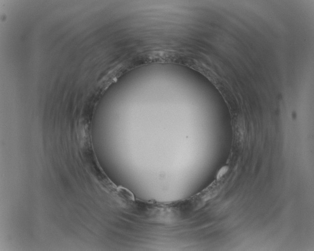 X0000077400276200611101827