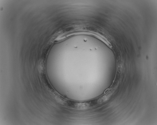 X0000077400277200611101828