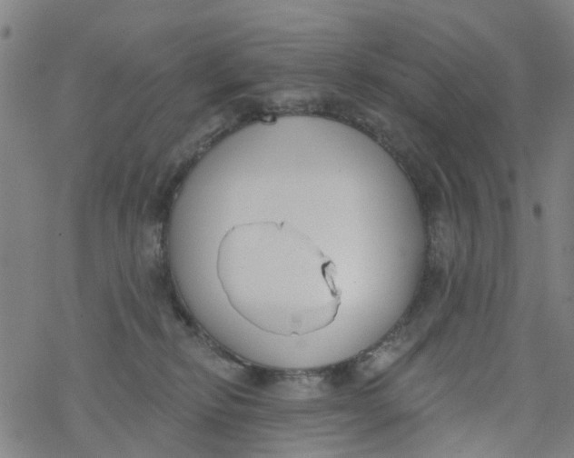 X0000077400278200611101828