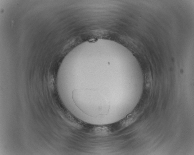 X0000077400279200611101828